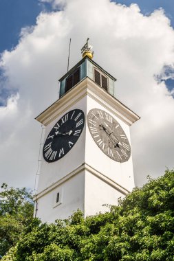 Novi Sad 'daki Tuna Nehri' nin yanındaki Petrovaradin Kale Saati 'nin manzarası.