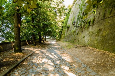 Parke taşlarından kale yolu..