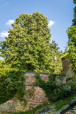 Ortaçağ Petrovaradin Kalesi Novi Sad Sırbistan.