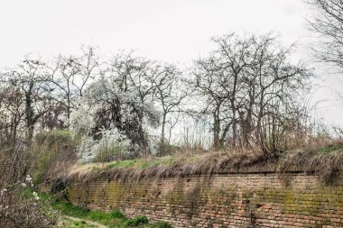 Savoy Prensi Eugene 'in Petrovaradin Kalesi, Novi Sad, Sırbistan' daki manzarası.