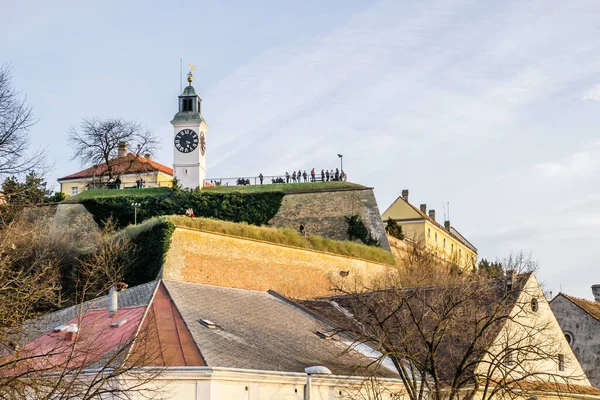 View Petrovaradin Fortress Danube River Novi Sad — 스톡 사진