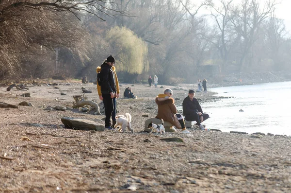 Novi Sad, Sırbistan. Mart - 16. 2022 yılı. Bahar güneşli bir günde, Tuna kıyılarında yürüyen insanlar..