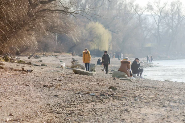 Novi Sad, Sırbistan. Mart - 16. 2022 yılı. Bahar güneşli bir günde, Tuna kıyılarında yürüyen insanlar..