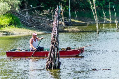 Novi Sad, Sırbistan - 17 Ağustos. 2019: Balıkçılar tahta tekneleriyle sahilin diğer tarafına geçiyor