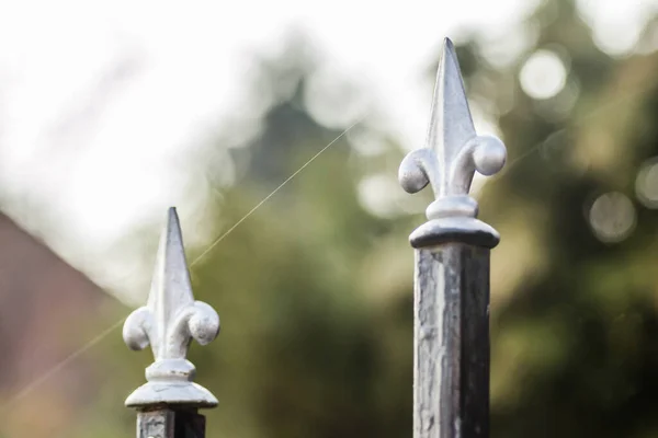 Steel Decorative Wrought Iron Fence Which Surrounds Private Property — ストック写真