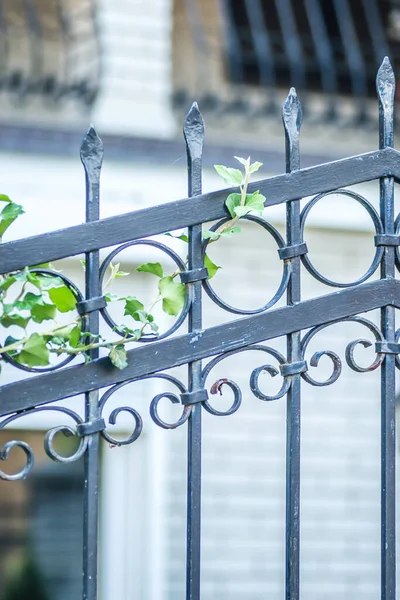 Wild Ivy Wrought Iron Decorative Fence — Foto de Stock