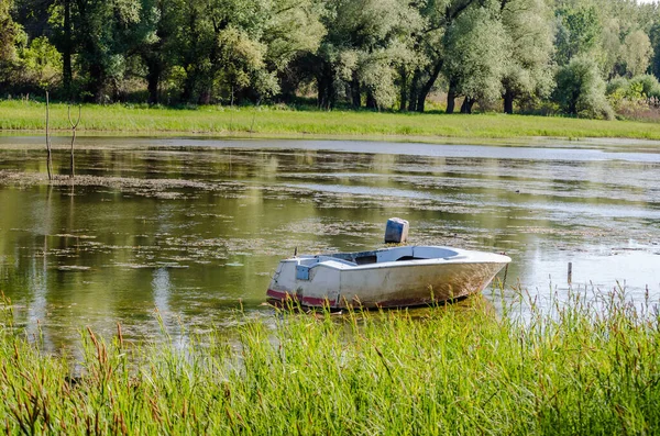 Пришвартованная Пластиковая Лодка Воде Болоте — стоковое фото