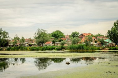 Kovilj yerleşim yerinin yaz manzarası ve Novi Sad 'dan çok uzak olmayan sarı zambak çiçekleri ile kaplı göletler.