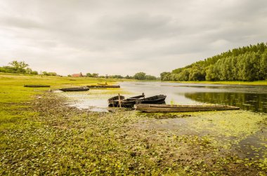 Kovilj yakınlarındaki bir gölde tahta balıkçı tekneleri, kıyı boyunca demirli..