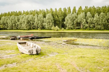 Unutulmuş, harap olmuş, ahşap balıkçı tekneleri Kovilj yakınlarında, kıyı boyunca demirlemiş..