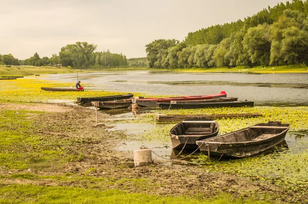Wooden Fishing Boats Pond Kovilj Moored Shore — стоковое фото