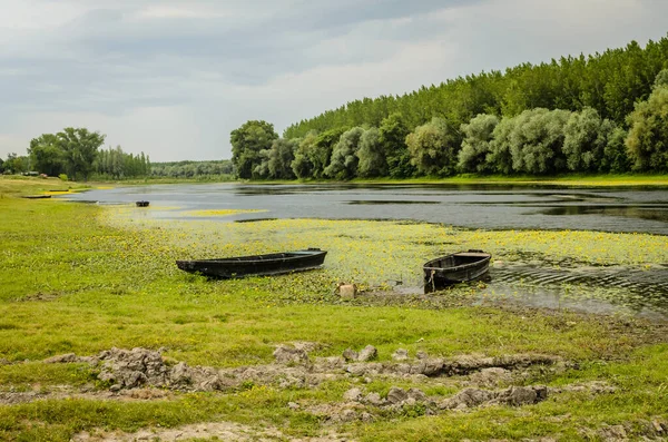 Kovilj yakınlarındaki bir gölde tahta balıkçı tekneleri, kıyı boyunca demirli..