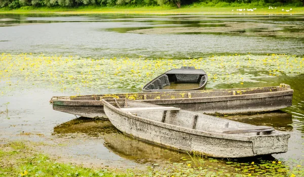 Wooden Fishing Boats Pond Kovilj Moored Shore — Stok fotoğraf