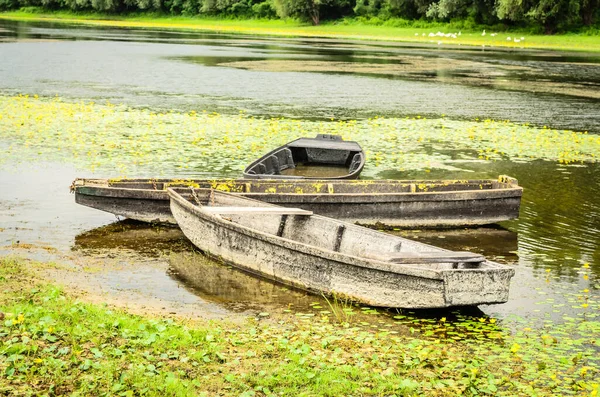 Forgotten, dilapidated, wooden fishing boats in a pond near Kovilj, moored along the coast.