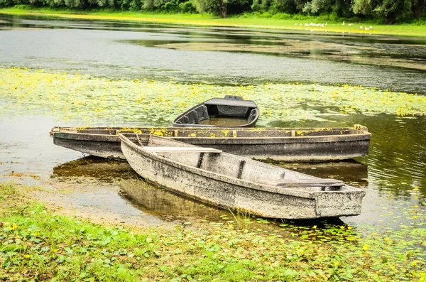 Forgotten Dilapidated Wooden Fishing Boats Pond Kovilj Moored Coast Imagen de stock