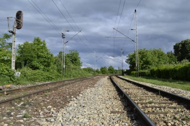 Demiryolu, ormandaki tren rayları, ufka giden yol.