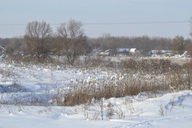 Kışın orman, derin bir kış örtüsüyle kaplanır..