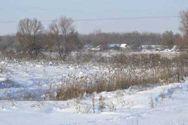Kışın orman, derin bir kış örtüsüyle kaplanır..