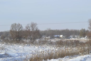 Kışın orman, derin bir kış örtüsüyle kaplanır..
