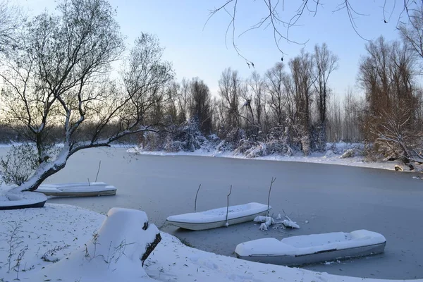 Panorama Frozen Lake Snow Covered Trees — Stockfoto