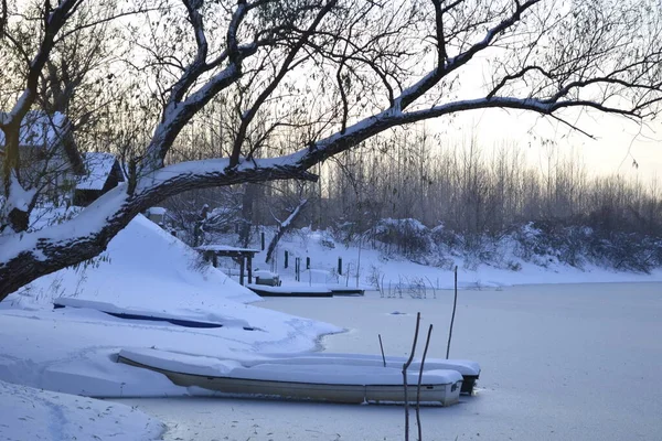 Panorama Frozen Lake Snow Covered Trees — Stockfoto