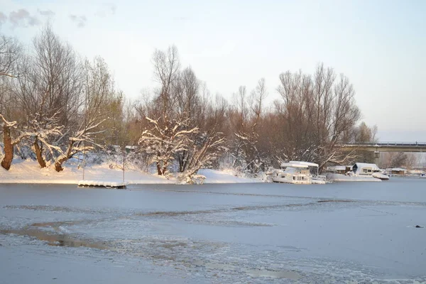 Panorama Frozen Lake Snow Covered Trees — Stockfoto