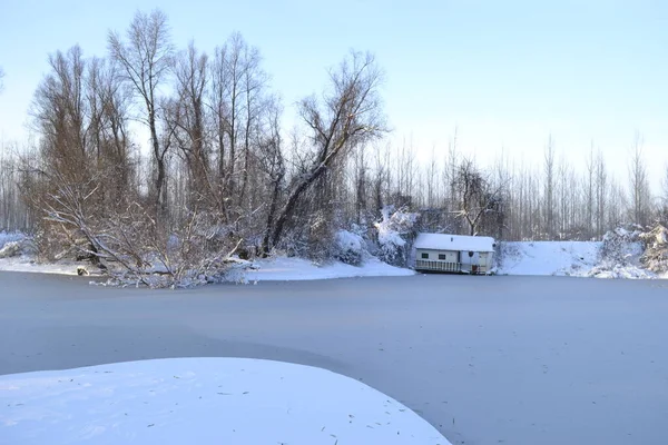 Panorama Frozen Lake Snow Covered Trees — Stock Fotó