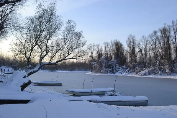 Panorama Frozen Lake Snow Covered Trees — Stock Fotó