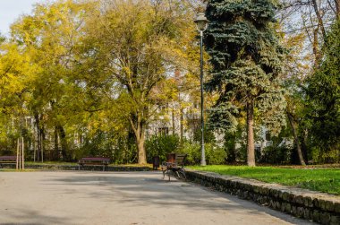 Novi Sad, Sırbistan - 23 Kasım 2020: Novi Sad 'daki Ulusal Şehir Parkı' nın manzarası.