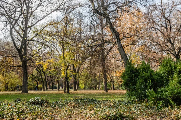 Novi Sad, Sırbistan - 23 Kasım 2020: Novi Sad 'daki Ulusal Şehir Parkı' nın manzarası.