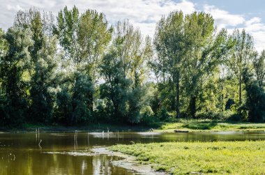 Ulusal Park 'ın güzel panoramik manzarası - Sodros, yaz sonundan önce.