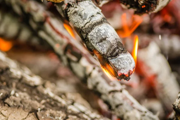 Close Shot Pieces Logs Firewood Charcoal Ashes Burning Flames — Stock Photo, Image