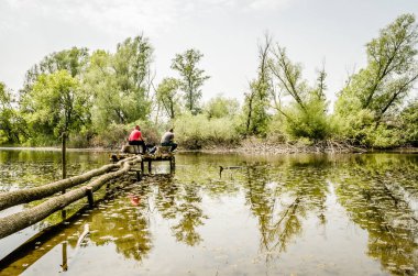 Novi Sad kenti yakınlarındaki sulak arazi manzarası.