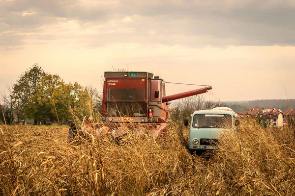 Συνδυασμός Αρόσιμη Μετά Την Αφαίρεση Της Ετήσιας Συγκομιδής — Φωτογραφία Αρχείου