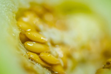 Bir kavun posası. Karpuzun iç kısmı, kalbi. lifler, tohumlar ve posalar birbirine karışır..