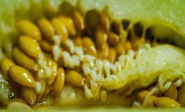 Bir kavun posası. Karpuzun iç kısmı, kalbi. lifler, tohumlar ve posalar birbirine karışır..