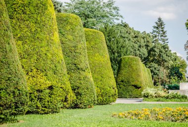 Belgrad, Sırbistan - 29 Temmuz 2014: Sırbistan 'ın başkenti Belgrad' daki Kalemegdan Eski Kalesi. Kalemegdan kalesinin önündeki Fransa 'ya şükran anıtı. Kalemegdan 'ın önündeki minnet abidesinin çevresindeki çevre 