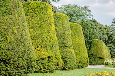 Belgrad, Sırbistan - 29 Temmuz 2014: Sırbistan 'ın başkenti Belgrad' daki Kalemegdan Eski Kalesi. Kalemegdan kalesinin önündeki Fransa 'ya şükran anıtı. Kalemegdan 'ın önündeki minnet abidesinin çevresindeki çevre 