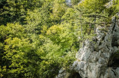 Bosna - 17 Ağustos. 2014: Havade Duraka Camii-Baarija Camisi. Bosna-Hersek.