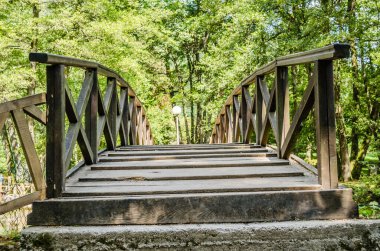 Bosna Nehri 'nin kaynağı - Izvor rijeke Bosne, Bosna-Hersek' in başkenti Saraybosna yakınlarındaki doğal park.