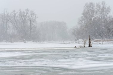 A panoramic view of the protected nature reserve in winter, covered with snow.