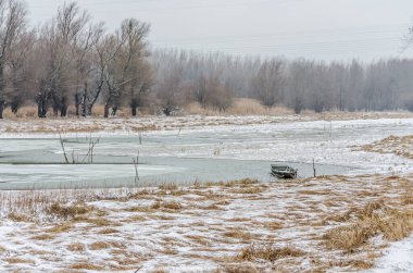 Kış mevsiminde karla kaplı, korunan doğanın panoramik görüntüsü..
