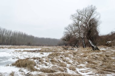 Kış mevsiminde karla kaplı, korunan doğanın panoramik görüntüsü..