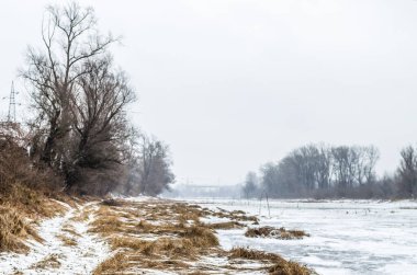 Kış mevsiminde karla kaplı, korunan doğanın panoramik görüntüsü..