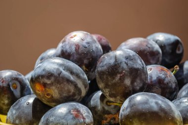 Seramik kasede erik topladım, yakın çekim..