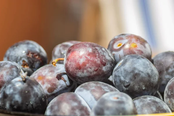 Picked Plums Ceramic Bowl Close — Stock Photo, Image