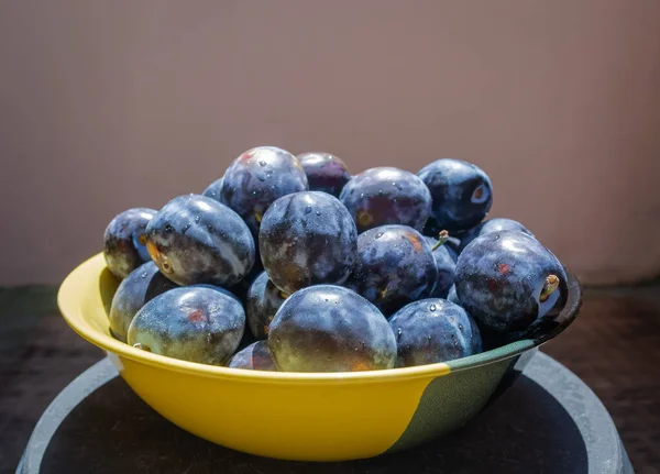 Picked Plums Ceramic Bowl Close — Φωτογραφία Αρχείου