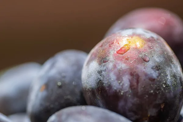 Picked Plums Ceramic Bowl Close — Stockfoto