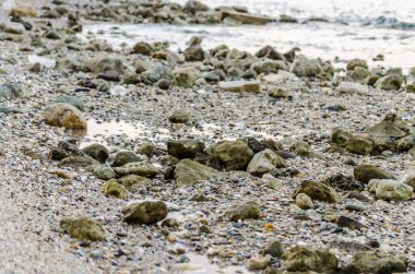 Yunanistan 'ın Pefkochori kentindeki küçük turist kasabasında öğleden sonra plajda taşlar.