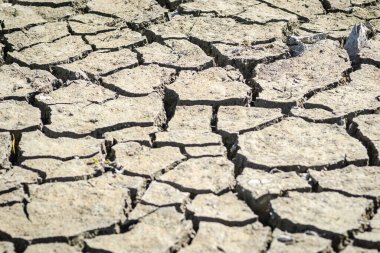Dry parched land. A view of dry parched land in a parched riverbed.